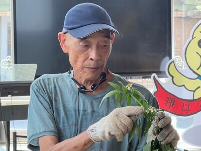 4.陳世揚老師介紹咸豐草