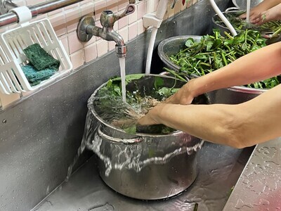 5.將剪段的咸豐草清洗，準備烹煮青草茶囉!