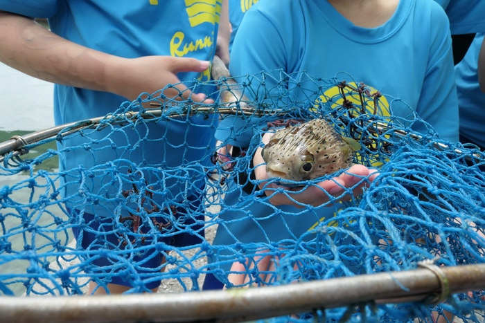 仁和里鮑魚體驗