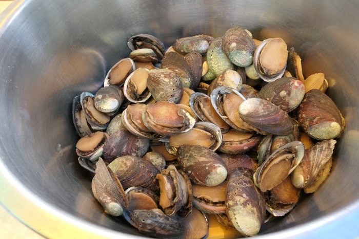 仁和里鮑魚體驗