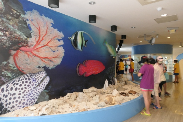 仁和里鮑魚體驗