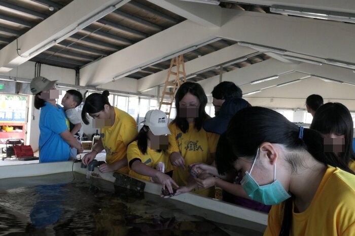 仁和里鮑魚體驗