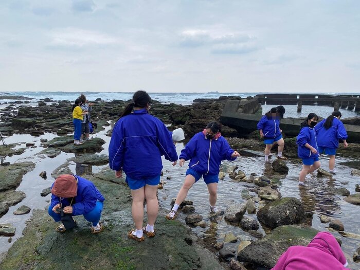 到潮間帶分辨不同海菜