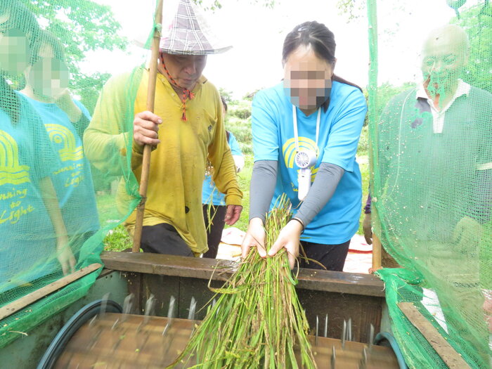 學生體驗脫穀