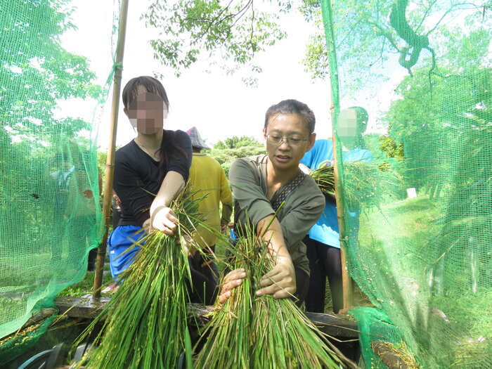 雙人脫穀中