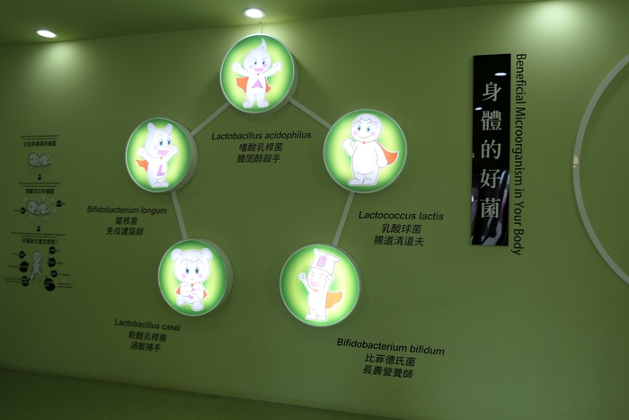 身體的五大好菌