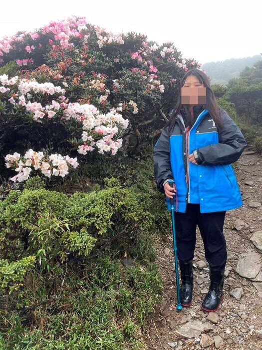 東峰的杜鵑花開的正是時候圖片