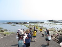 前往馬岡潮間帶