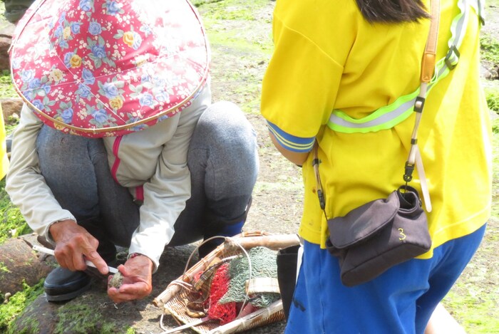 使用工具撬開蚵