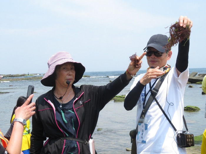 海女講師介紹石花菜的不同