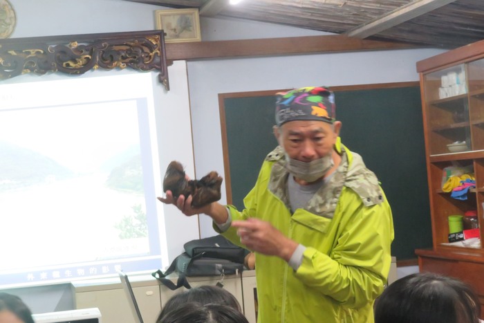 穗花棋盤腳果實