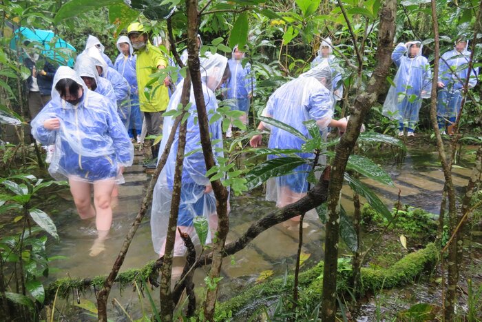 等魚步道