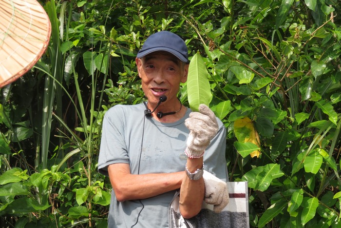 認識原生種植物