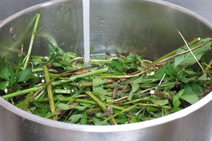 調煮青草茶