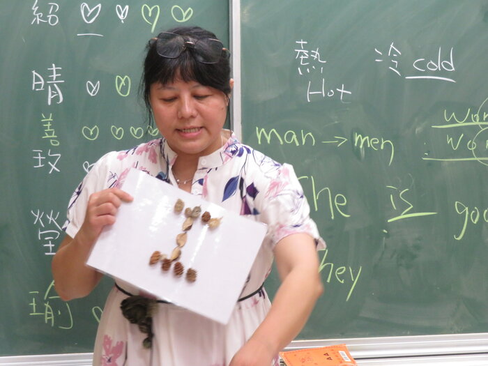 展示學生乾燥花留言板拼貼作品