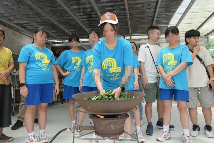 採茶體驗圖片