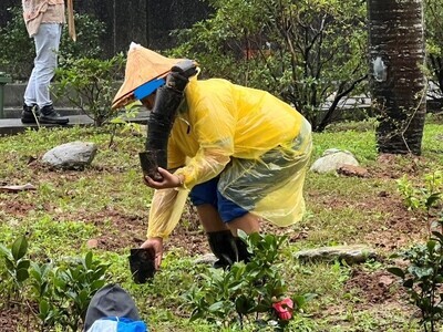 分工合作，將小苗的盆栽收好
