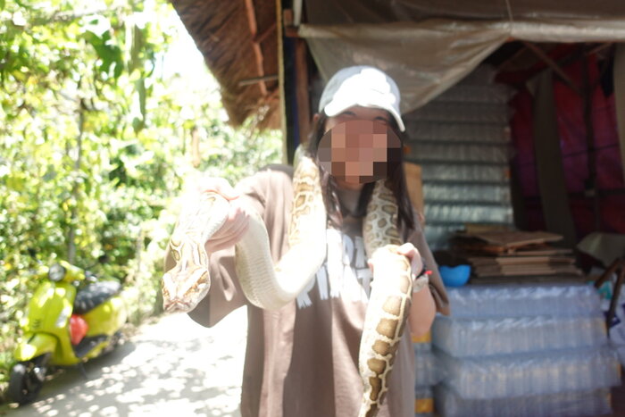 大膽體驗與嚐識