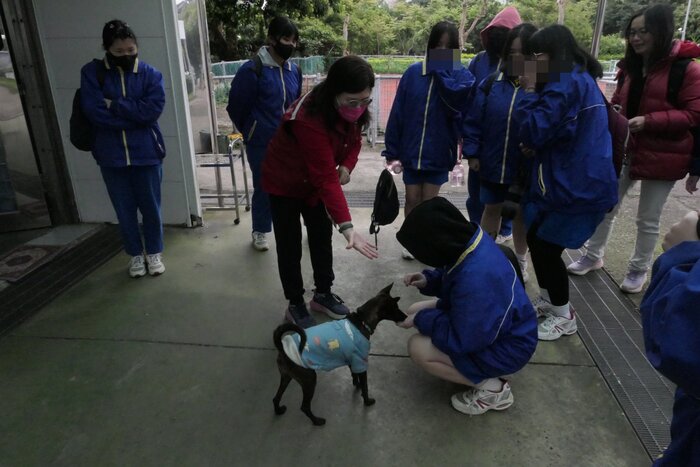 小布丁公關狗歡迎我們