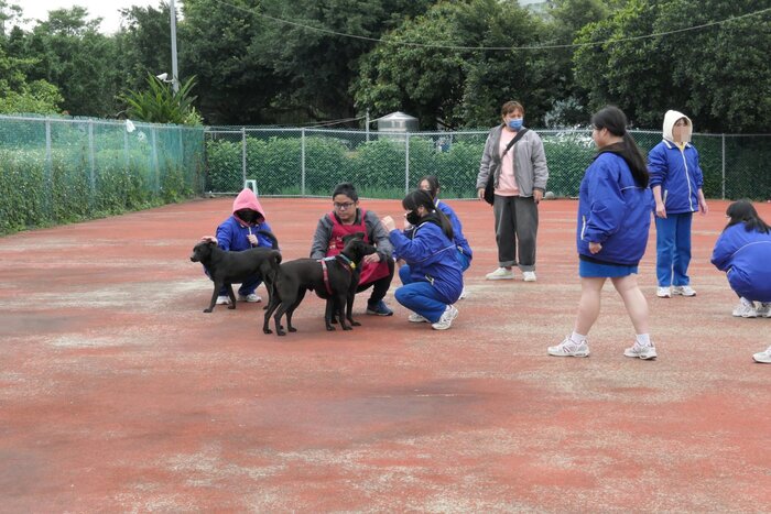 與狗狗互動體驗
