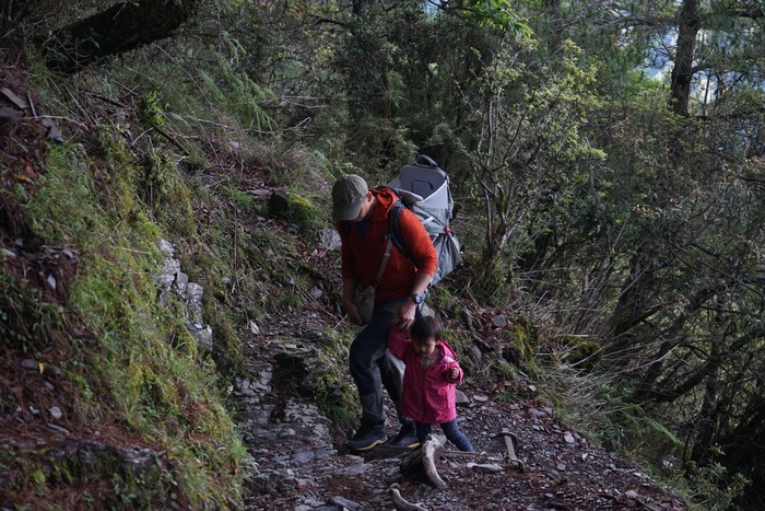 小小登山員也加入行列圖片