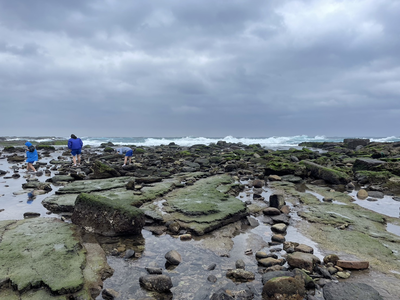 馬崗海岸一景，同學興奮踏查