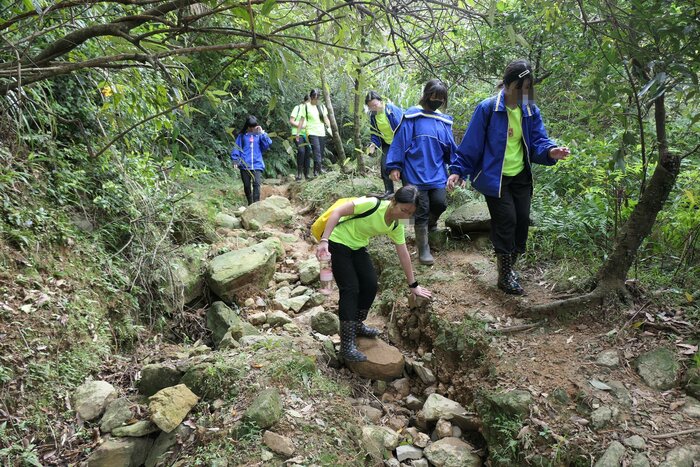 崎嶇山路下切圖片
