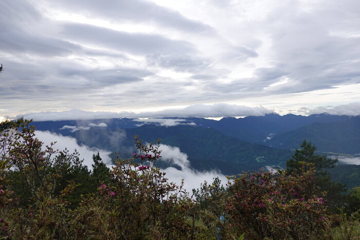 雪山雲海