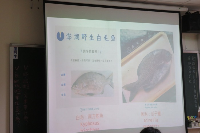 黑毛與白毛的區別