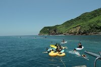 水域活動實況