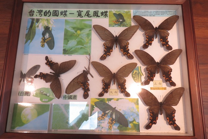 館藏豐富