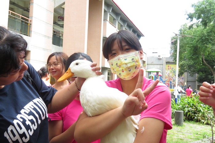 同學們看到小動物為之瘋狂