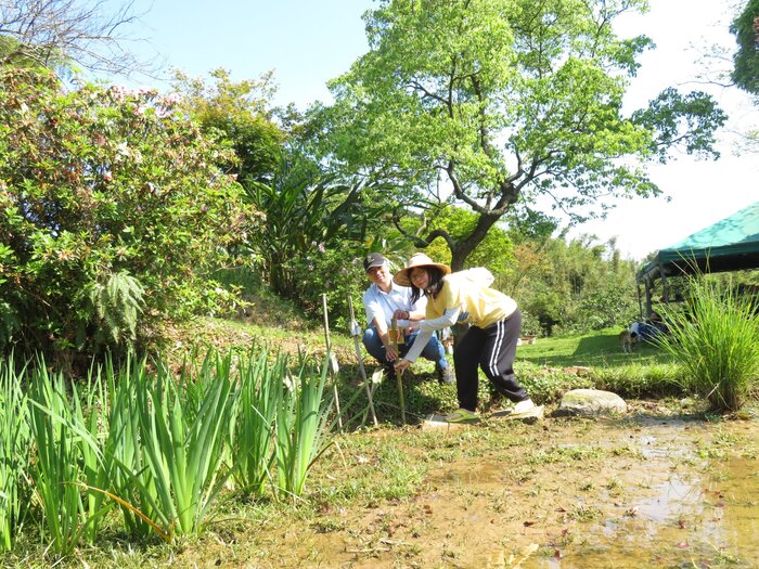擺放土地公拐杖