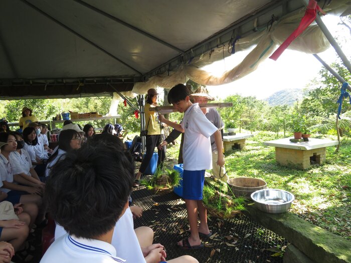 挑戰扁擔挑秧苗