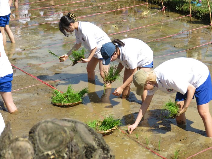 三重高中同學也躍躍欲試