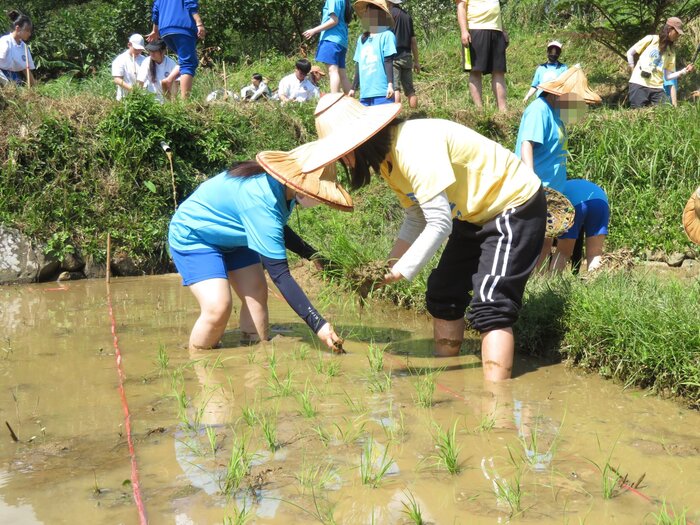 豐珠同學也很認真