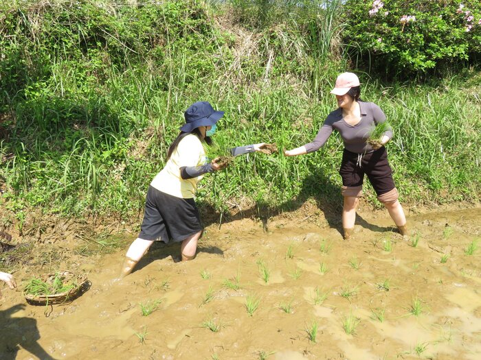 連外師也一起來