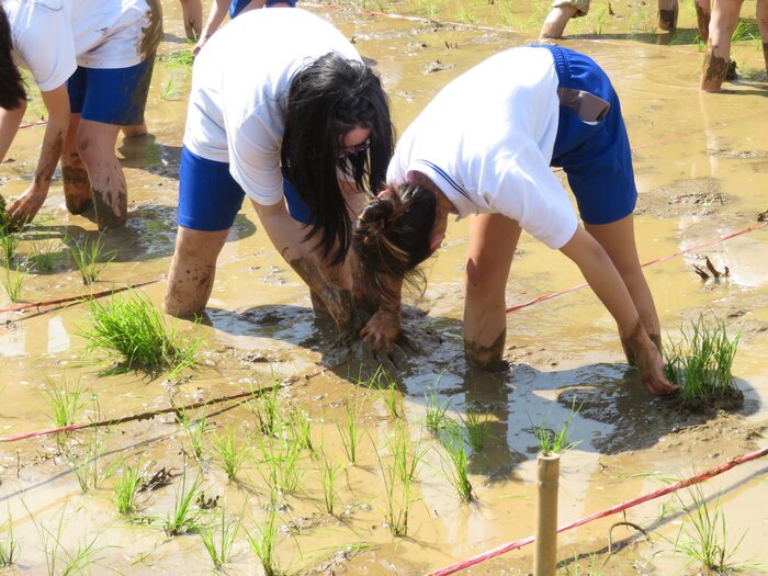 三重高中同學很認真