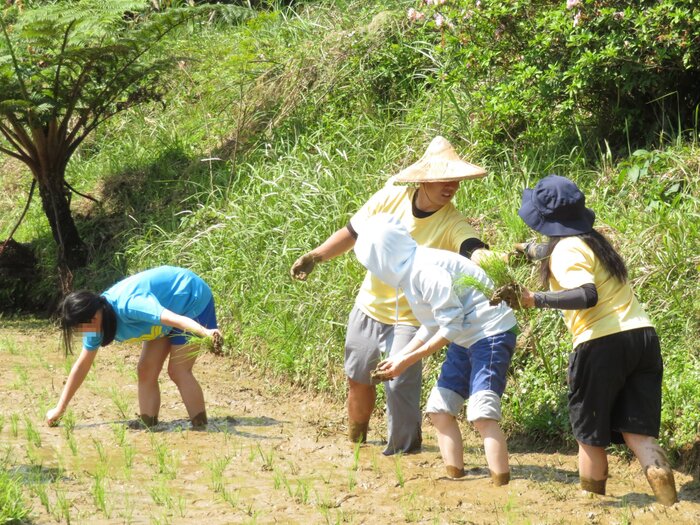 認真工作的師生