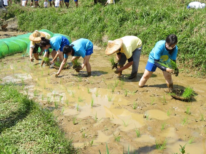 認真工作的師生