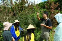 講師介紹茶籽(要在樹上結果一年後採集，再搭配曝曬後取籽內的果仁，磨成粉後榨油)
