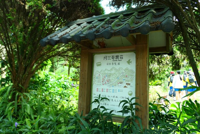 抵達阿三哥農莊