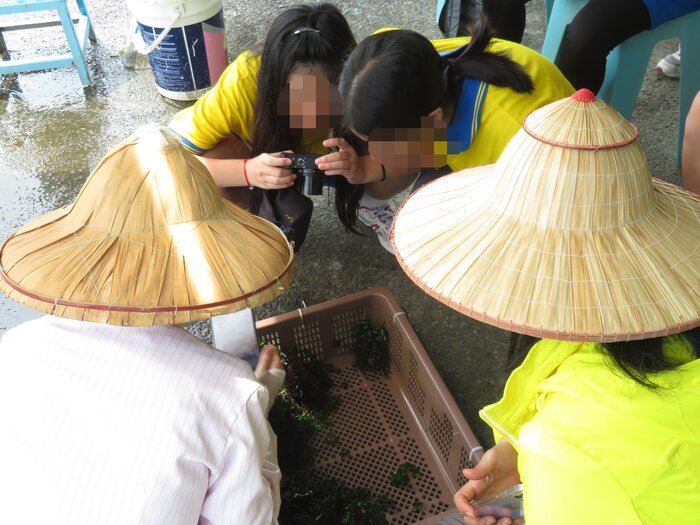 師生一同觀察與拍攝紫海膽