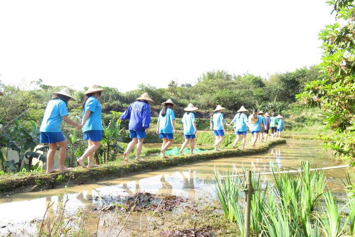 準備進田囉