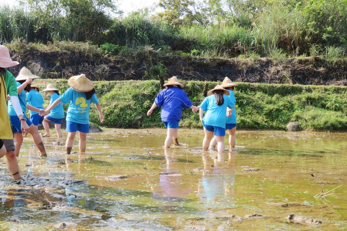 先體驗踩泥巴的感覺