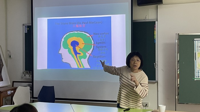 主導情緒的大腦區塊圖片